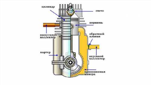 Як користуватися (працювати) бензопилою