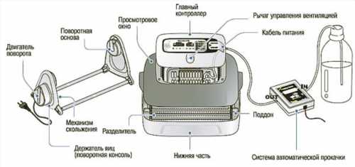 пристрій інкубатора