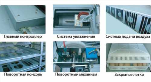 автоматизація процесу інкубації