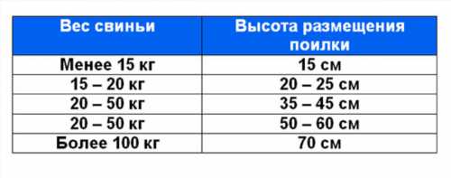 Висота установки поїлки для поросят різного віку