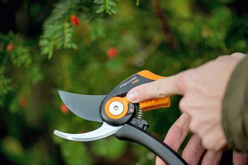 Секатор Fiskars