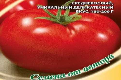 особливості догляду