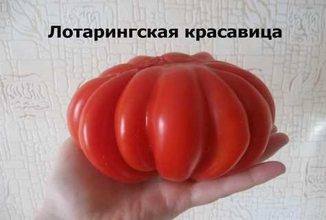 інопланетний корабель