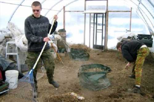 підгодівлею ґрунту