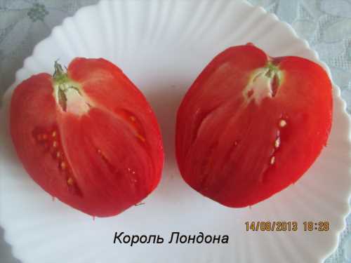 томат король лондона всередині