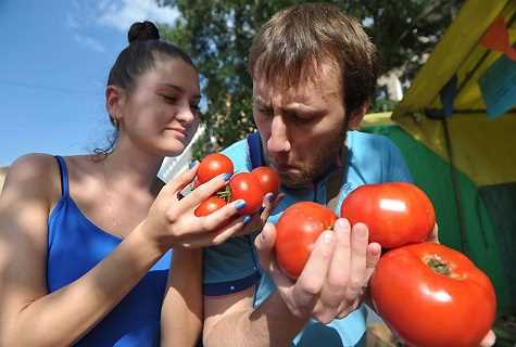 запах томата