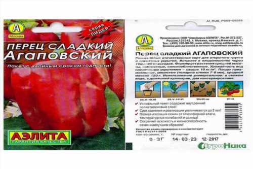 відноситься до середньоранніх