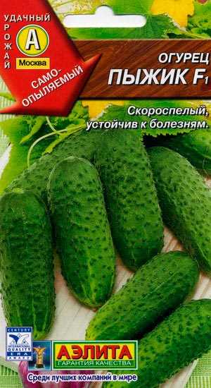 Які сорти і гібриди огірків посадити в теплиці з полікарбонату