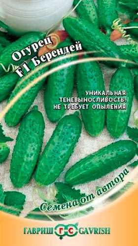 Докладний огляд найкращих тіньовитривалих сортів огірків