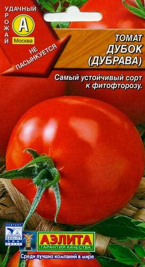 Низькорослий сорт томатів Дубок - ідеальний варіант для тих, хто не любить возиться з підв' /></div>
</p>
<p>Головне – запам’ятати основні правила висіву насіння:</p>
<ol>
<li>спочатку <strong>вимочити насіння в слабкій марганцівці, потім просушити – це допоможе уникнути багатьох захворювань.</strong></li>
<li>Сіяти насіння тільки в удобрений грунт.</li>
<li>Насіння на розсаду висівають в третій декаді березня на глибину не більше 15 мм.</li>
<li>У кімнаті, де знаходиться розсада, температура повітря повинна складати близько 21-24 градусів.</li>
<li>Після появи двох-трьох постійних листків, розсаду пікірують.</li>
<li>Протягом домашнього розвитку розсади, двічі слід внести мінеральні добрива в грунт.</li>
<li>Для теплиці рослини готують за два тижні. Для цього основне значення приділяється загартуванню саджанців. Така процедура полягає в періодичному перебуванні розсади на холоді.</li>
</ol>
<p>Загартований томат Дубок стійкий до фітофтори і іншим небезпечним захворюванням:</p>
<!-- WP QUADS Content Ad Plugin v. 2.0.80 -->
<div class=