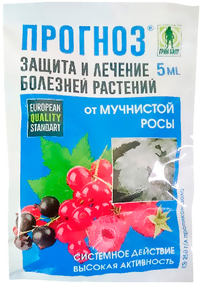 Як застосовувати «Прогноз» від борошнистої роси