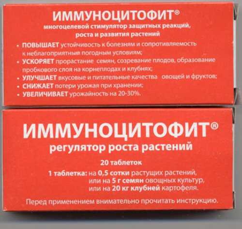 Не полінуйтеся підготувати насіння огірків перед висадкою в теплицю або в грунт