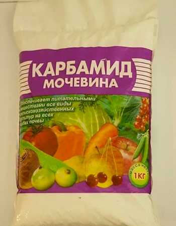 Народні рецепти для підгодівлі помідорів в теплиці