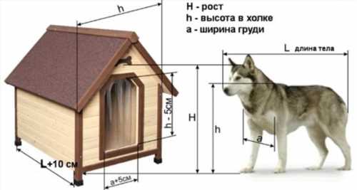 Нюанси простоти або як змайструвати з бруса собачу будку