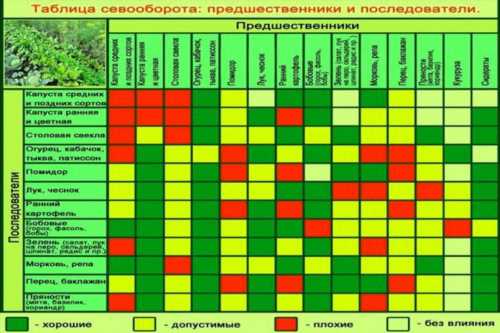 таблиця сівозміни